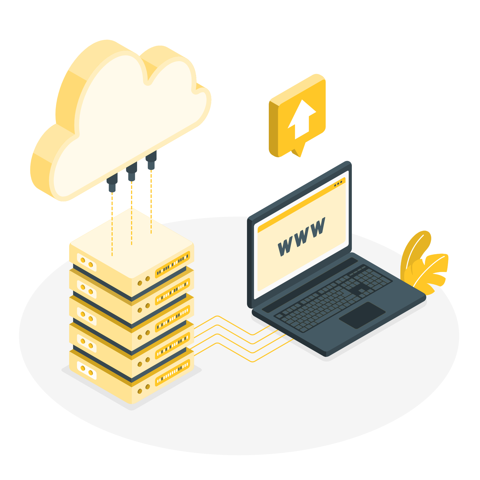 DOMAIN AND HOSTING